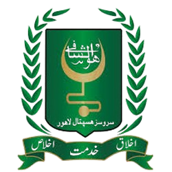 Untitled-6_copy-removebg-preview